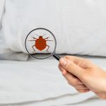 istockphoto-1242074445-170667a