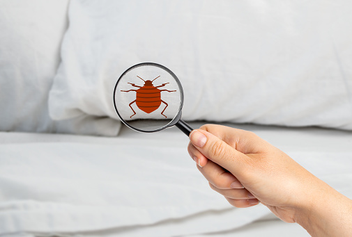 istockphoto-1242074445-170667a